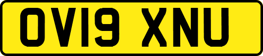 OV19XNU