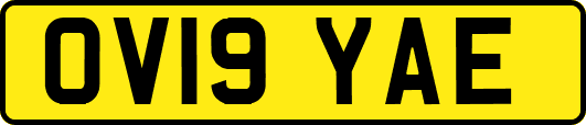 OV19YAE