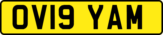 OV19YAM