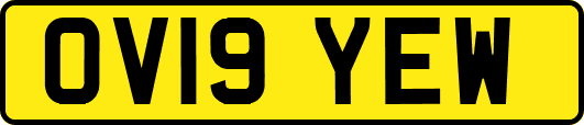 OV19YEW