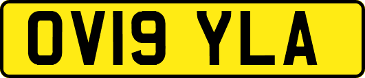 OV19YLA
