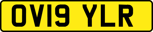 OV19YLR