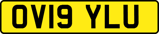 OV19YLU