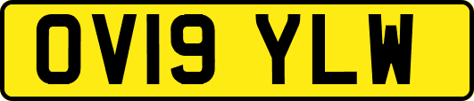 OV19YLW