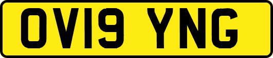 OV19YNG