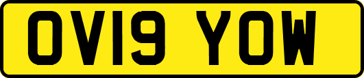 OV19YOW