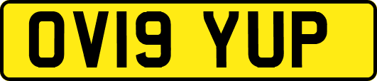 OV19YUP