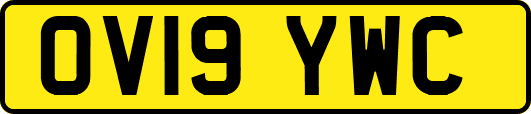 OV19YWC