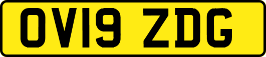 OV19ZDG