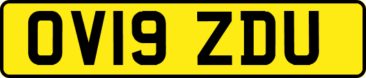 OV19ZDU