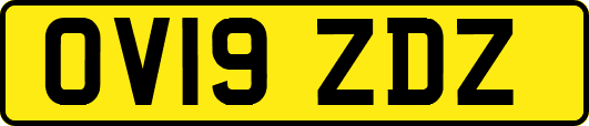 OV19ZDZ