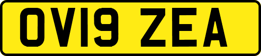 OV19ZEA