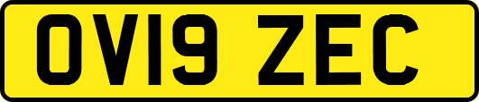 OV19ZEC