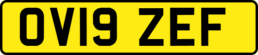 OV19ZEF
