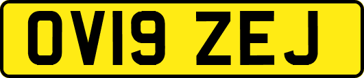 OV19ZEJ