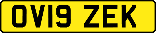 OV19ZEK