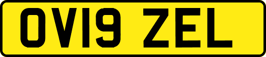OV19ZEL