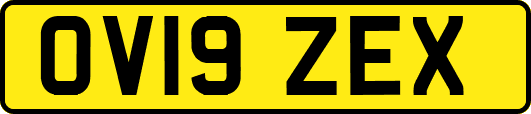 OV19ZEX