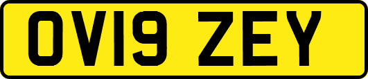 OV19ZEY