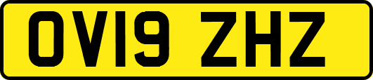 OV19ZHZ