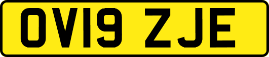 OV19ZJE