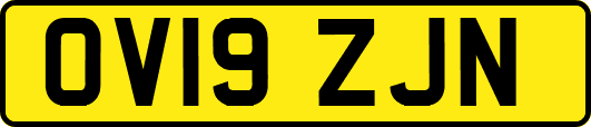 OV19ZJN