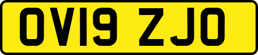 OV19ZJO