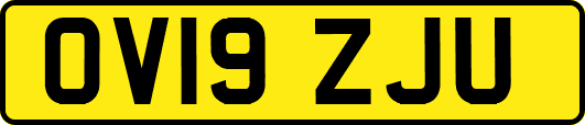 OV19ZJU
