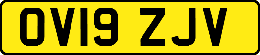 OV19ZJV