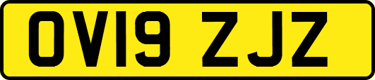OV19ZJZ