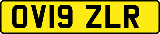 OV19ZLR