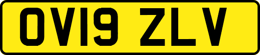 OV19ZLV