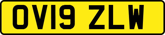 OV19ZLW