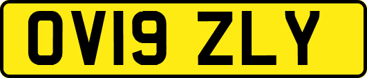OV19ZLY