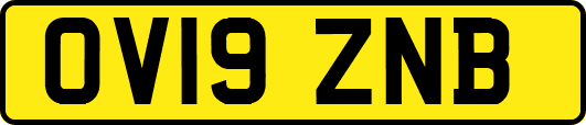 OV19ZNB