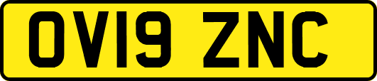 OV19ZNC