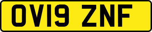 OV19ZNF