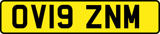 OV19ZNM
