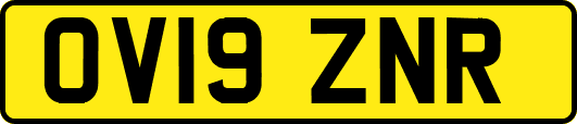 OV19ZNR