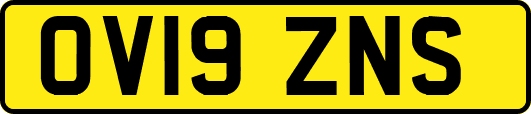 OV19ZNS