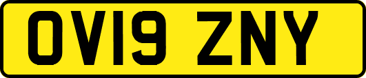 OV19ZNY
