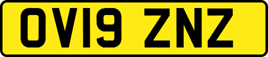 OV19ZNZ