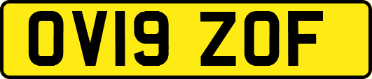 OV19ZOF