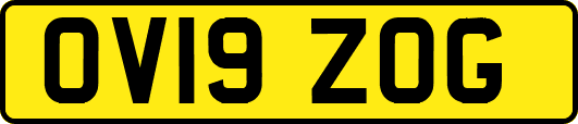 OV19ZOG