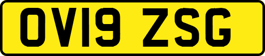 OV19ZSG