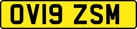 OV19ZSM