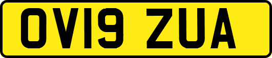 OV19ZUA