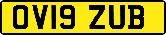 OV19ZUB