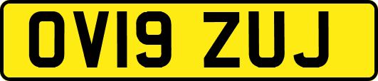 OV19ZUJ