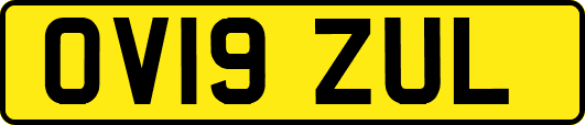 OV19ZUL